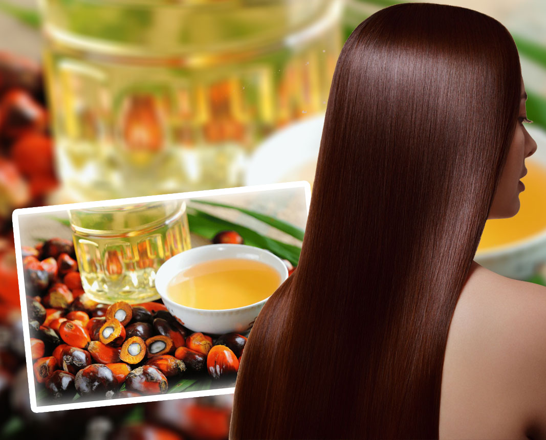 How Batna Oil Can Help Manage Alopecia?