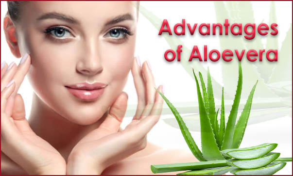 Aloevera gel
