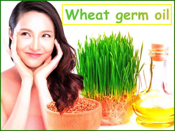 wheat germ oil